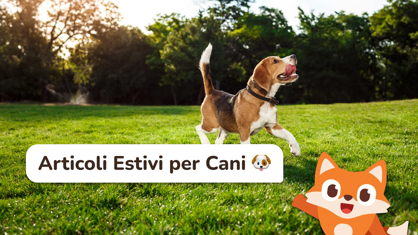 5 Migliori Accessori Estivi per Cani da Avere nel 2026